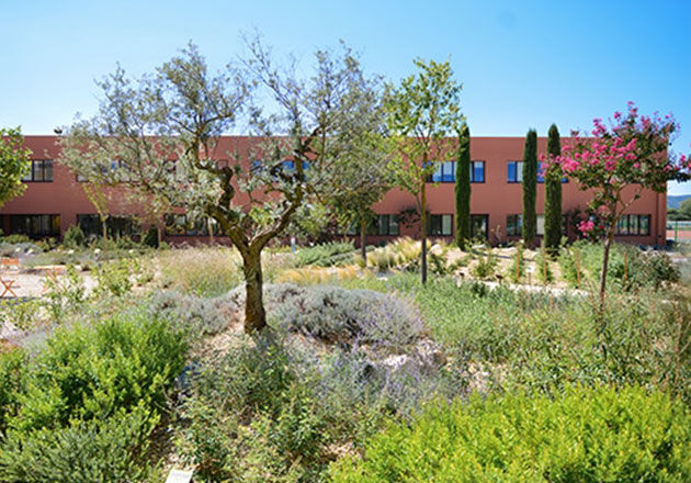 escape to the l'occitane garden with mediterrenean plants